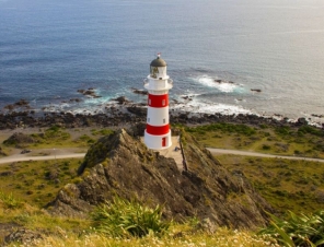 cape palliser
